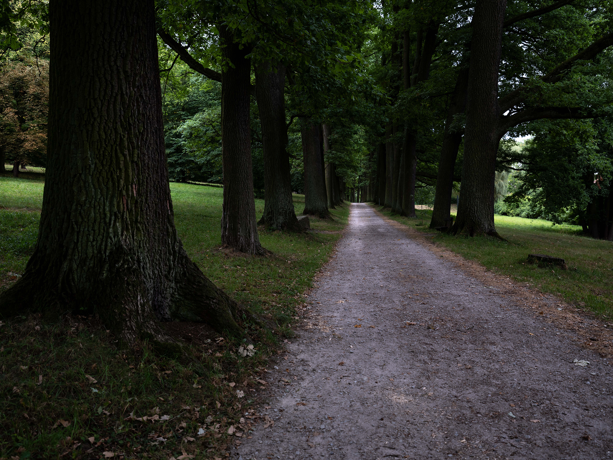 Relaxační zámecký pobyt – Lesní terapie