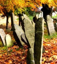 židovský hřbitov třešť