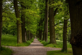 Zámek Třešť, zámecký park